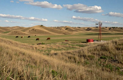 Nebraska Sandhills ranch landscape with cattle grazing near Iowa border for farmer dating