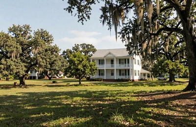 Mobile Gulf Coast Alabama farmland with pecan orchards and Spanish moss-draped oaks near a white farmhouse