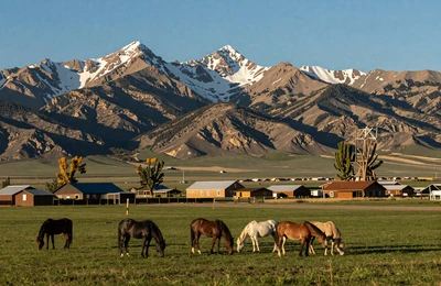 Bozeman Montana Gallatin Valley ranches with Bridger Mountains backdrop and green irrigated pastures with horses