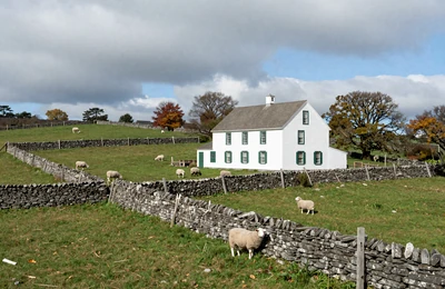New England style family farm with stone walls and green pastures reflecting Irish-American farming traditions