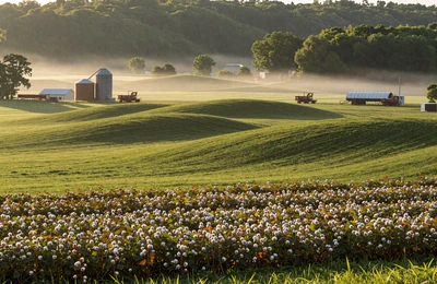 Huntsville Tennessee Valley farmland with rolling green fields and morning mist in North Alabama