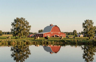 Minnesota dairy farm with red barn reflected in lake near Iowa border for farmer dating
