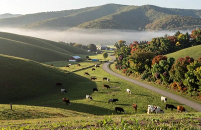 West Virginia mountain farm with green Appalachian hills and cattle ranch near the Ohio border