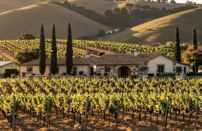 Italian-American vineyard in California wine country with rows of grapevines and a stone winery estate