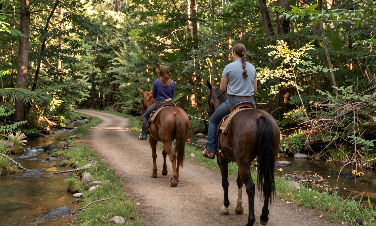 Couple horseback riding on a scenic Ozark trail in Arkansas with a clear stream and green forest canopy