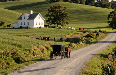 Ohio Amish country with horse-drawn buggy on gravel road and rolling green farmland