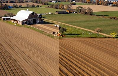 Four seasons of farm life from snowy winter to golden autumn harvest, illustrating the farmer's seasonal dating calendar